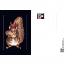 Postkarte Bollenhut Eichhörnchen