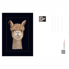 Postkarte Alpaka
