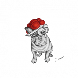 Untersetzer 9×9 – Bollenhut Bulldogge