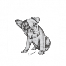 Untersetzer 9×9 – Bulldogge