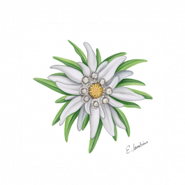 Untersetzer 9×9 – Edelweiss