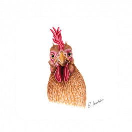 Untersetzer 9×9 – Huhn