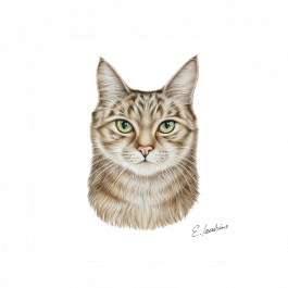 Untersetzer 9×9 – Katze