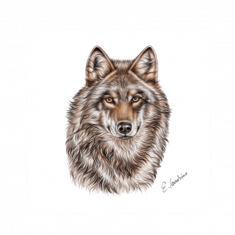 Untersetzer 9×9 – Wolf