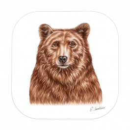 Untersetzer 9×9 – Bär