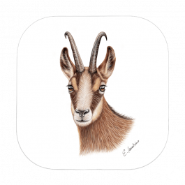 Untersetzer 9×9 – Gams