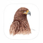 Untersetzer 9×9 – Steinadler