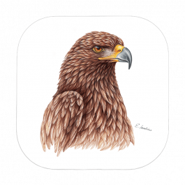 Untersetzer 9×9 – Steinadler