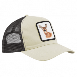 CAP – Reh