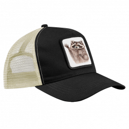 CAP – Waschbär