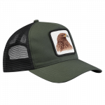CAP – Steinadler