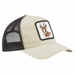 CAP – Gams