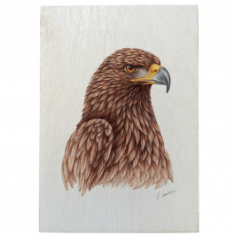 Holztafel – Steinadler