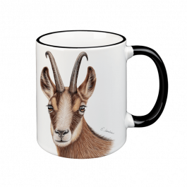 TASSE – Gams