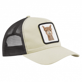 CAP – Alpaka