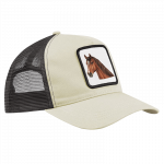 CAP – Pferd