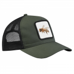CAP – Biene