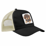 CAP – Rauhaardackel
