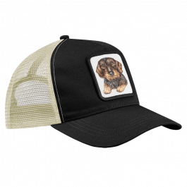 CAP – Rauhaardackel