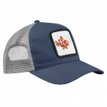 CAP – Clownfisch