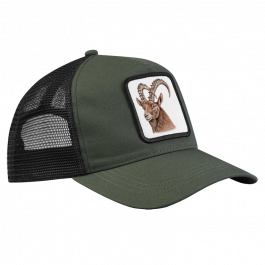CAP – Steinbock