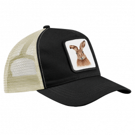 CAP – Hase